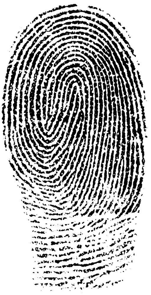 fingerprint